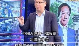 台湾大陆最新爆料信息,最新爆料揭示台海局势紧张升级！”