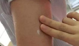 吃鸡皮肤爆料最新实测版,全新视觉盛宴，带你领略极致游戏体验