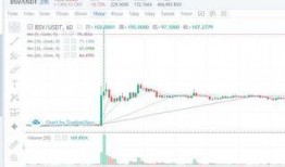 澳本聪最新爆料,揭秘比特币创始人身份之谜