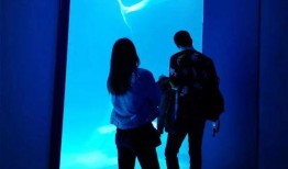 海洋最新爆料视频大全下载,揭秘深海奥秘，探索未知世界