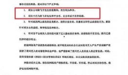 陈飞爆料视频大全最新,揭秘娱乐圈不为人知的一面