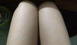 吃鸡皮肤爆料最新实测版,全新视觉盛宴，带你领略极致游戏体验