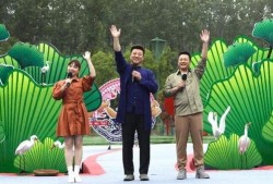 挂哥最新爆料视频下载,视频内容深度解析