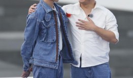 武艺爆料嘉宾名单大全最新,最新嘉宾名单大全，明星阵容大揭秘！