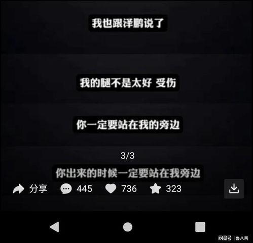 捷风最新爆料消息,揭秘科技巨头最新动态与未来趋势